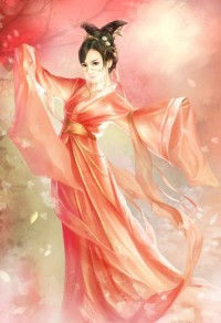 龍圖案卷集